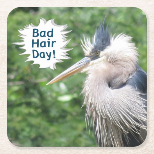 Great Blue Heron Untersetzer (Vorderseite)