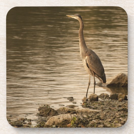 Great Blue Heron Untersetzer (Vorderseite)