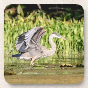 Great Blue Heron Untersetzer