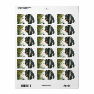 Great Blue Heron von John James Audubon Adressaufkleber