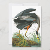 Great Blue Heron von John James Audubon Dankeskarte (Vorderseite)