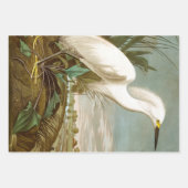 Great Blue Heron von John James Audubon Dekpupupup Geschenkpapier Set (Vorderseite 3)