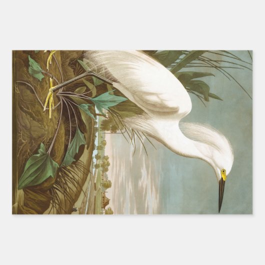 Great Blue Heron von John James Audubon Dekpupupup Geschenkpapier Set (Vorderseite 3)