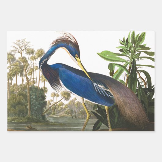 Great Blue Heron von John James Audubon Dekpupupup Geschenkpapier Set (Vorderseite 2)
