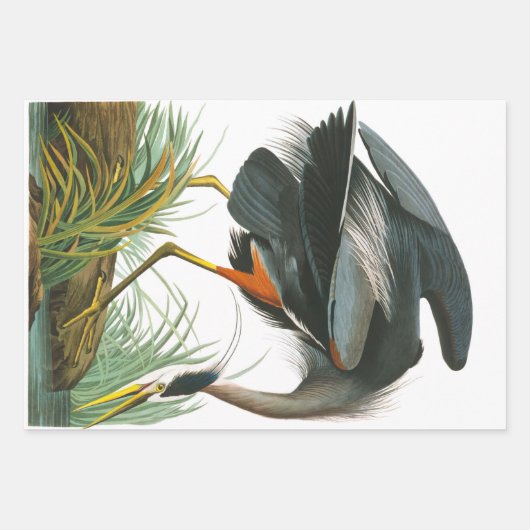 Great Blue Heron von John James Audubon Dekpupupup Geschenkpapier Set (Vorderseite)
