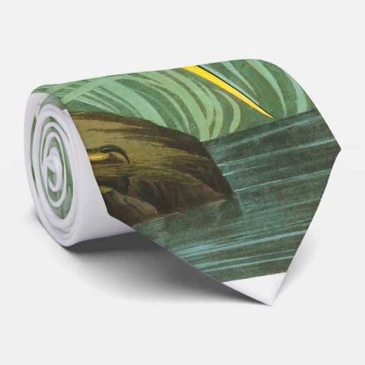 Great Blue Heron von John James Audubon Krawatte (Gerollt)