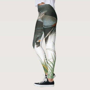Great Blue Heron von John James Audubon Leggings