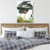 Great Blue Heron von John James Audubon Leinwanddruck (Insitu (Schlafzimmer))