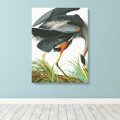 Great Blue Heron von John James Audubon Leinwanddruck (Insitu (Holzboden))
