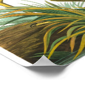 Great Blue Heron von John James Audubon Poster (Ecke)