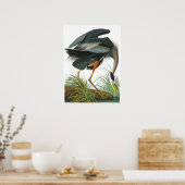 Great Blue Heron von John James Audubon Poster (Küche)