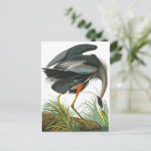 Great Blue Heron von John James Audubon Postkarte (Stehend Vorderseite)