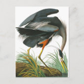 Great Blue Heron von John James Audubon Postkarte (Vorderseite)