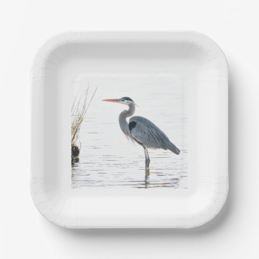 Great Blue Heron - Wading Pappteller (Vorderseite)