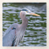Great Blue Heron Wildlife Bird Fotografy Glasuntersetzer (Vorderseite)