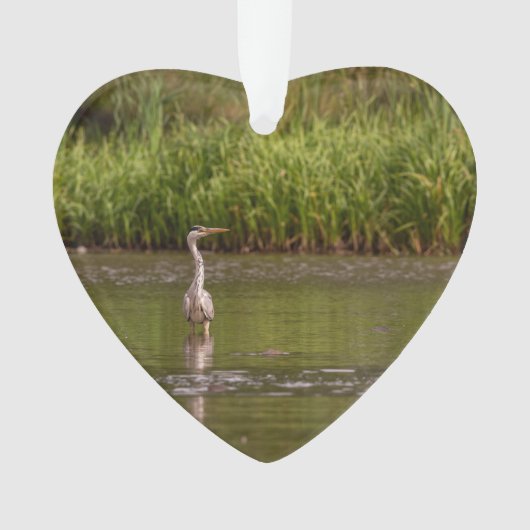 Great Blue Heron Wildlife Lake Ded Foto Custom Ornament (Vorderseite)