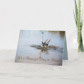 Great Blue Heron Wings Spread on Water Karte (Vorderseite)