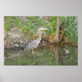 Great Blue Heron Woodland Poster (Vorne)