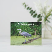 Great Blue Hery Turtles Green Lake Postkarte (Stehend Vorderseite)