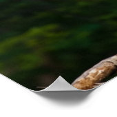 Great Blue Hery Wall Art Poster (Ecke)