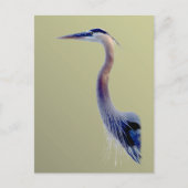 Great Blue Postkarte (Vorderseite)