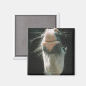 Great Britian Magnet (Vorderseite/Rückseite)