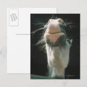 Great Britian Postkarte (Vorne/Hinten)