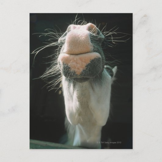 Great Britian Postkarte (Vorderseite)