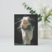 Great Britian Postkarte (Stehend Vorderseite)