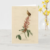 Great Carolina Wren - Audubons Vögel in Amerika Karte (Gelbe Blume)
