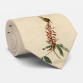 Great Carolina Wren - Audubons Vögel in Amerika Krawatte (Gerollt)