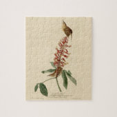 Great Carolina Wren - Audubons Vögel in Amerika Puzzle (Vertikal)