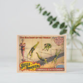 Great Costellos Trapeze Show Circus Poster Postkarte (Stehend Vorderseite)