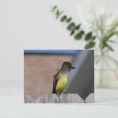 Great Created Flycatcher Postkarte (Stehend Vorderseite)