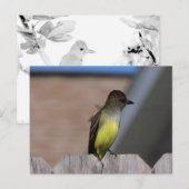Great Created Flycatcher Postkarte (Vorne/Hinten)