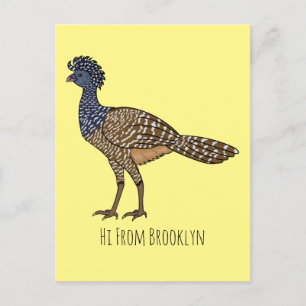 Great curassow bird cartoon illustration postkarte