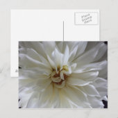 Great Dahlia 1 - gebildeten Brainfart Postkarte (Vorne/Hinten)