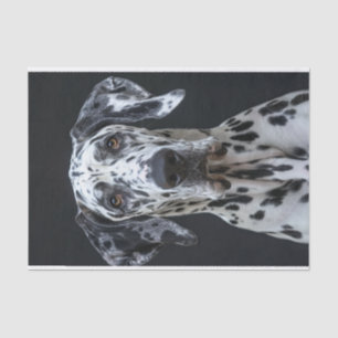 Great Dane1 Seidenpapier