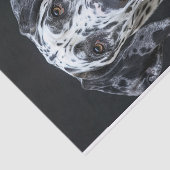 Great Dane1 Seidenpapier (Ausschnitt)