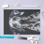 Great Dane1 Seidenpapier (Handwerk)