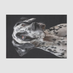 Great Dane2 Seidenpapier