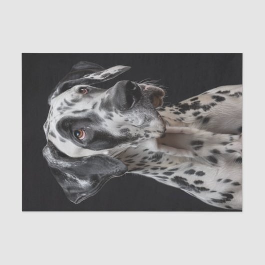 Great Dane2 Seidenpapier (Vorderseite)