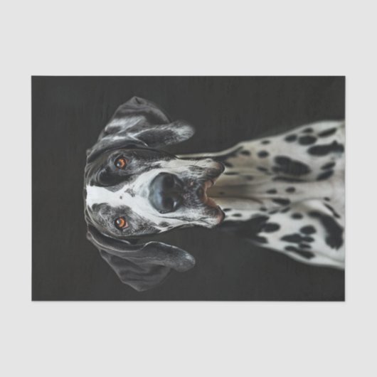 Great Dane3 Seidenpapier (Vorderseite)