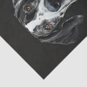 Great Dane3 Seidenpapier (Ausschnitt)