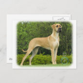 Great Dane 9T088D-027 Postkarte (Vorne/Hinten)