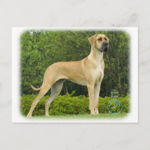 Great Dane 9T088D-027 Postkarte