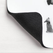 great-dane-and-chihuahua1 mousepad (Ecke)