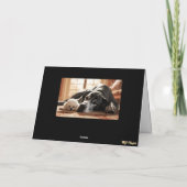 Great Dane and Poodle Card Karte (Rückseite)