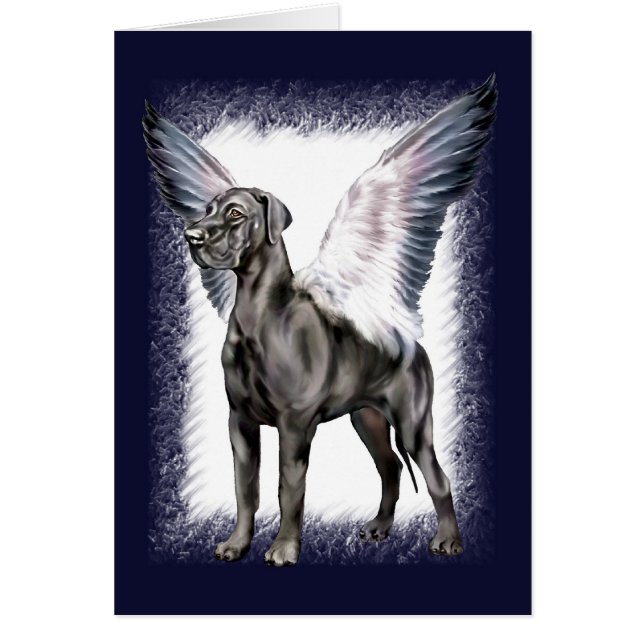 Great Dane Angel Black UC (Vorne)