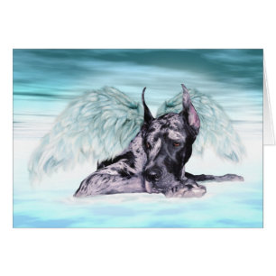 Great Dane Angel Merle